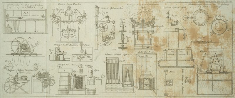 Tafel Tab. VIII